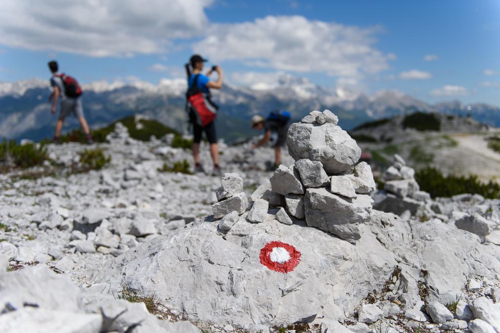 Penzion Vila Bistrica Bohinjska Bistrica ภายนอก รูปภาพ